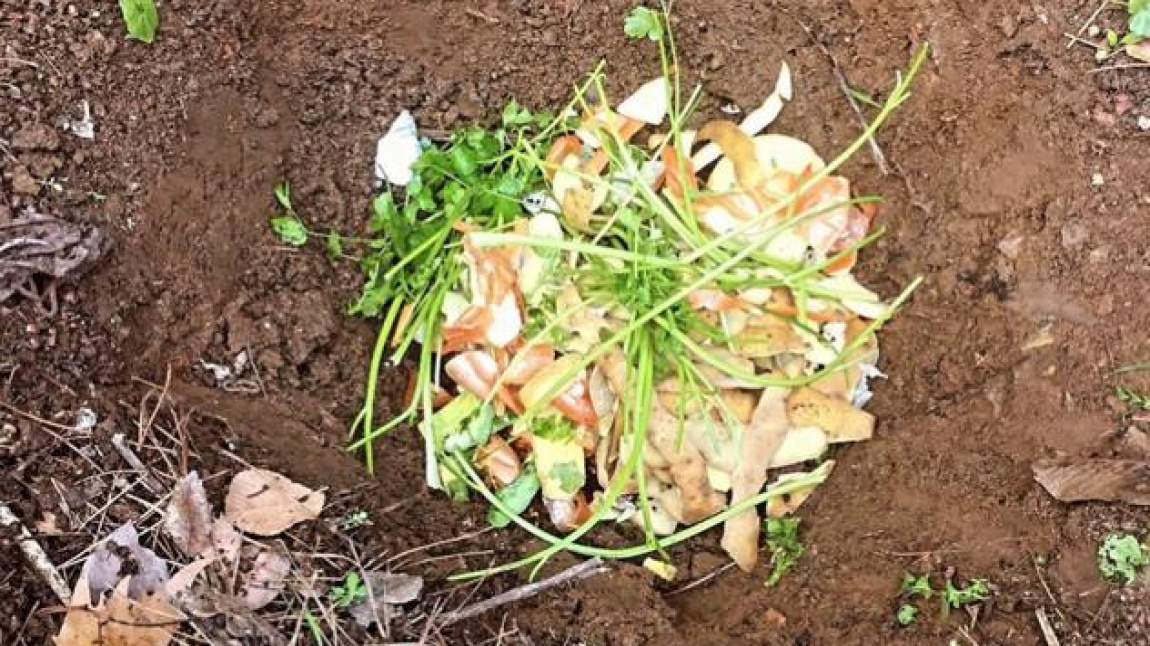 'Mavi Yeşil Okullar Projesi' kapsamında okulumuz öğrencileri öğretmenleri eşliğinde kompost gübre çalışması yaptılar.